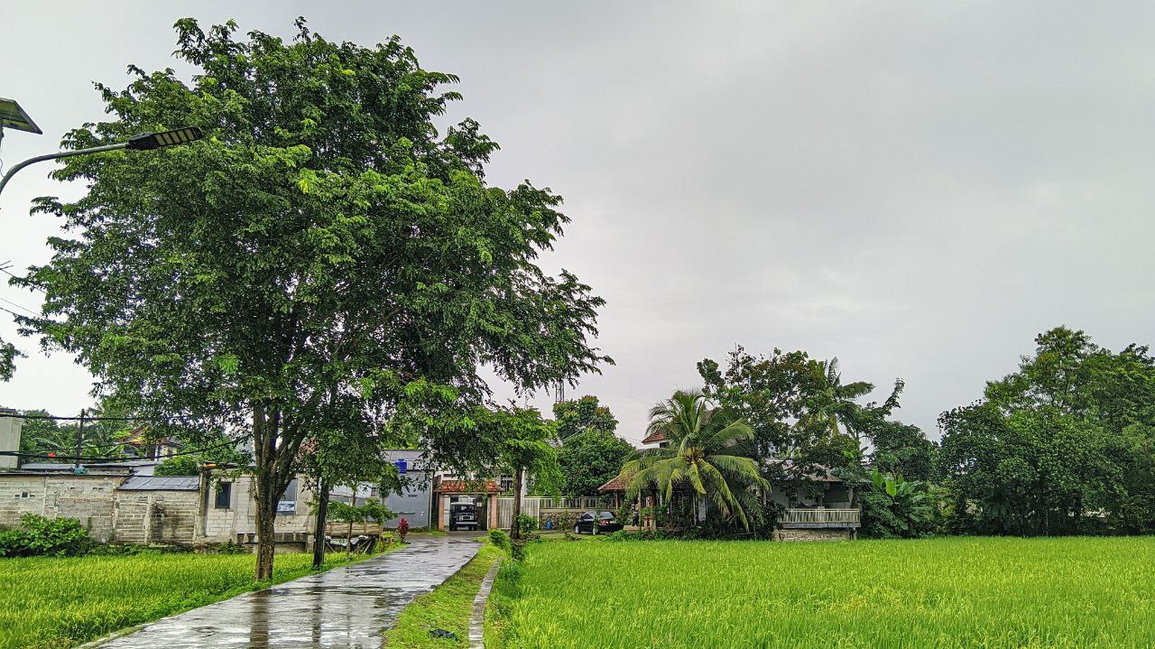 Istana Dermaga Ciakar